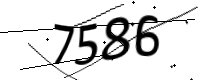 captcha_img