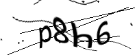 captcha_img