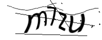 captcha_img
