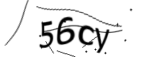 captcha_img