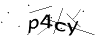 captcha_img