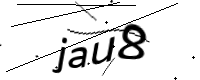 captcha_img