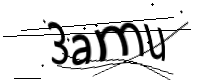 captcha_img