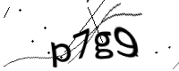 captcha_img