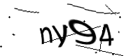 captcha_img