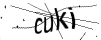captcha_img