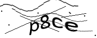 captcha_img